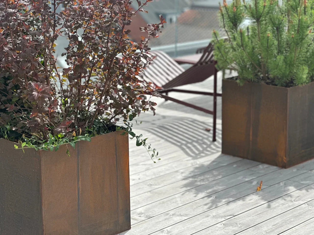 Laat u inspireren door bloemen voor uw balkonbakken | Staaltuin