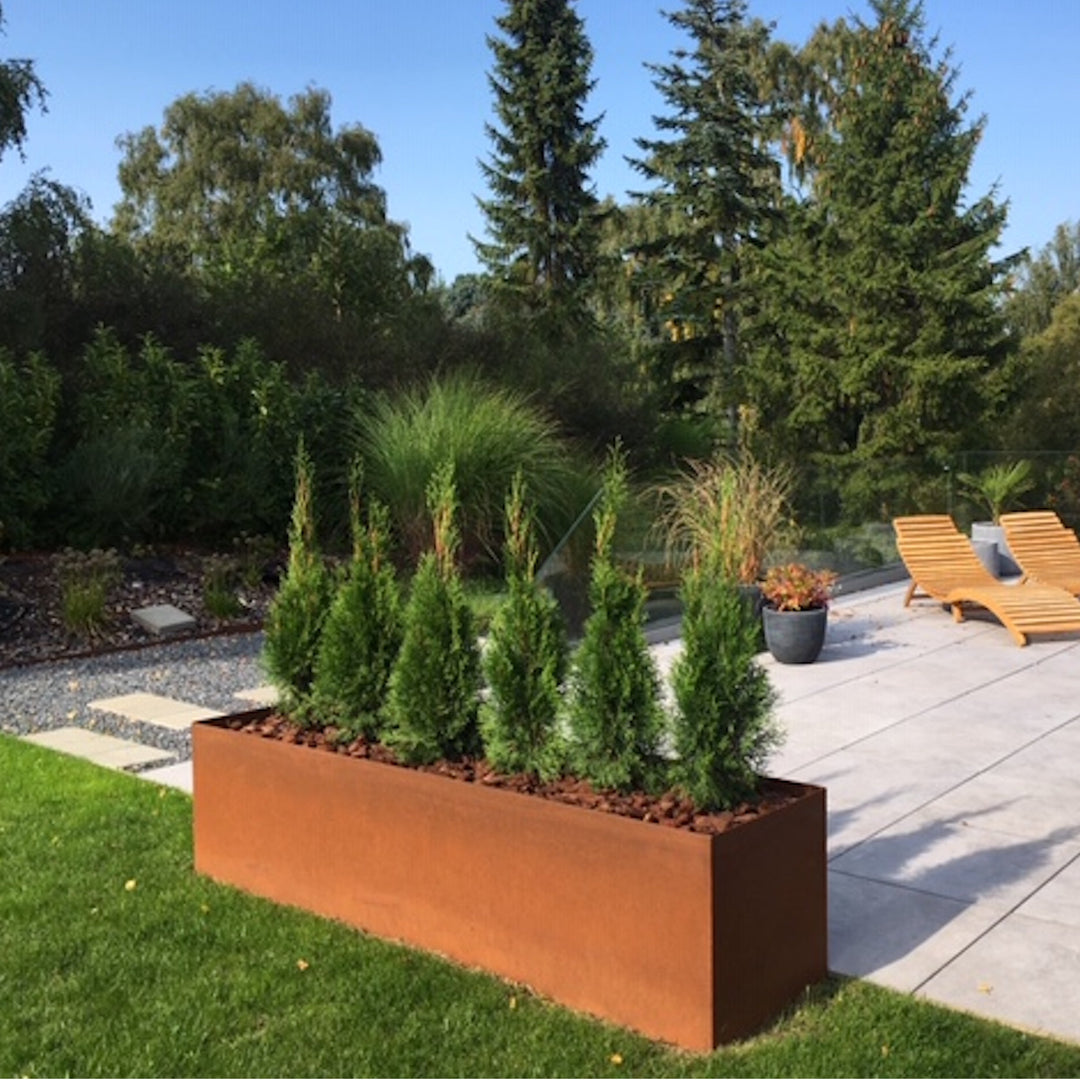 Plantenbak, rechthoekig, 30 cm breed x 50 cm hoog