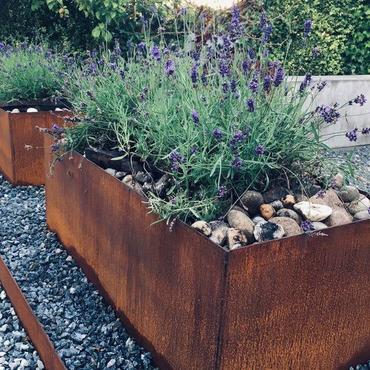 Plantenbak klassiek model, 50 cm breed x 50 cm hoog