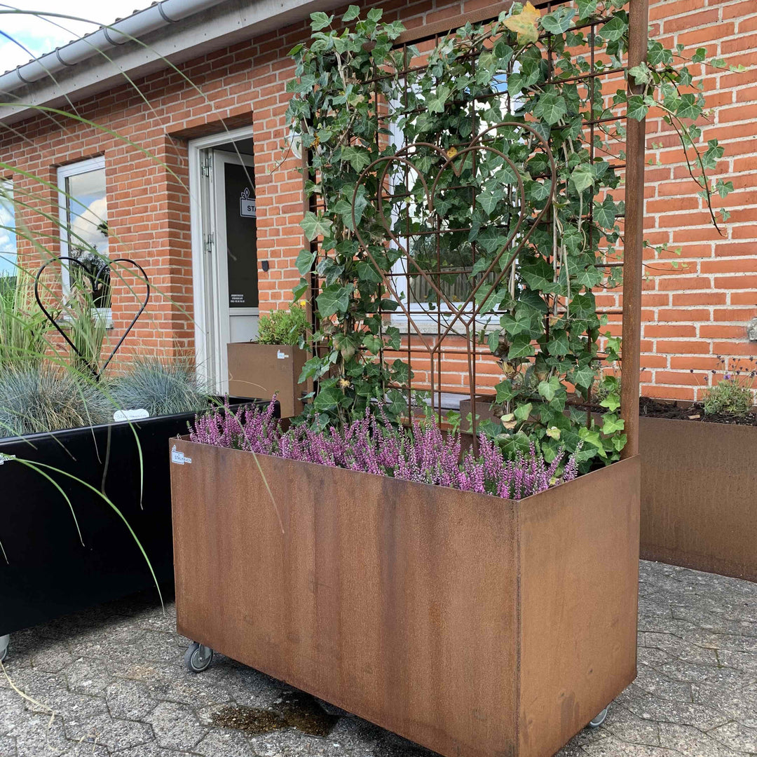 Plantenbak met trellis