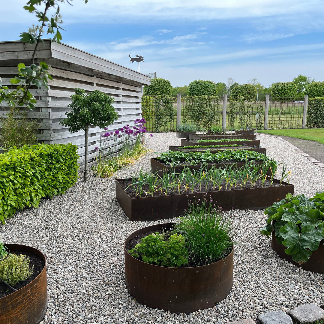 Maatwerk: Ronde borderrand van 3 mm cortenstaal