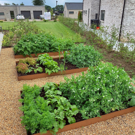 Borderrand van 2 mm cortenstaal