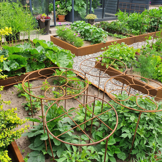 Plantenbak, laag model, 30 cm hoog