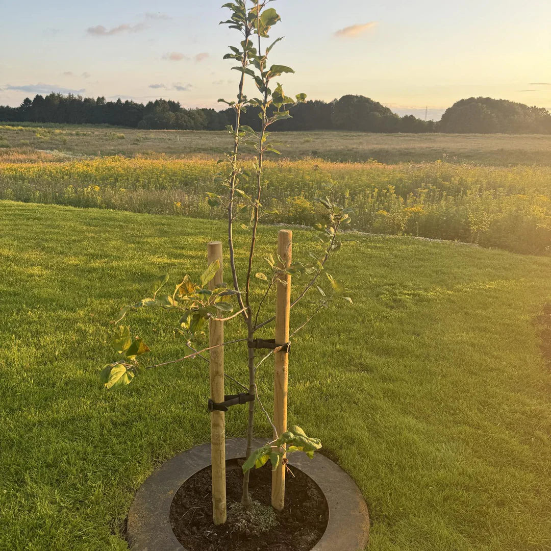 Maatwerk: Maairand van cortenstaal