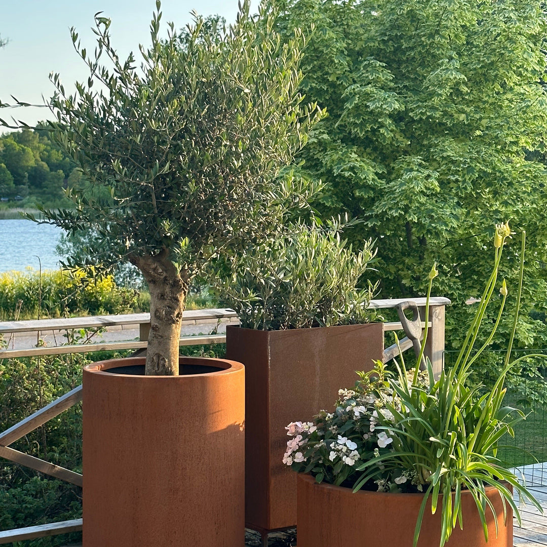 Ronde plantenbak met omgezette bovenrand